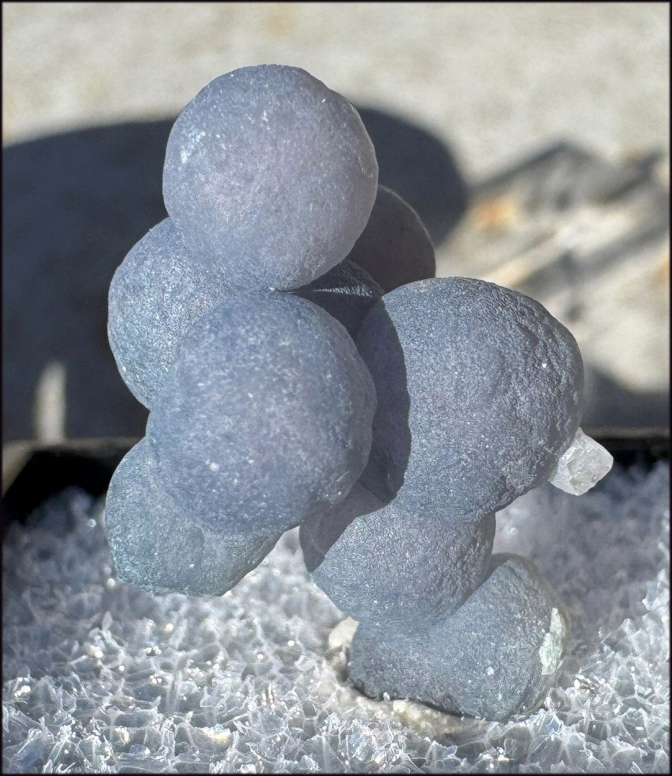 ~Lovely~ Small Grape Chalcedony Crystal Cluster in Specimen Box