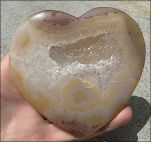 XL Agate Crystal HEART with Fantastic Druzy Crystal Lined VUG, Dendrites