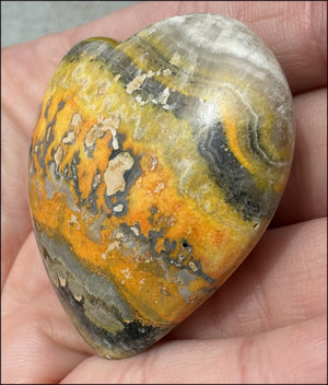 Bumblebee Jasper Crystal HEART - Positivity, Creativity