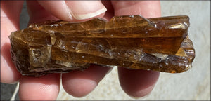 Dark Honey Calcite AKA Amber Calcite Crystal Specimen - Stamina, Intuition