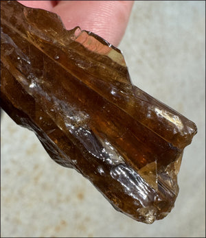 Dark Honey Calcite AKA Amber Calcite Crystal Specimen - Stamina, Intuition