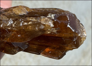 Dark Honey Calcite AKA Amber Calcite Crystal Specimen - Stamina, Intuition