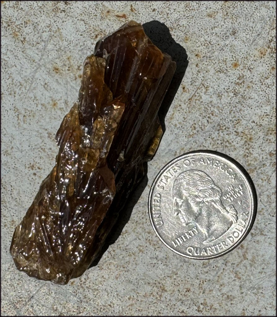 Dark Honey Calcite AKA Amber Calcite Crystal Specimen - Stamina, Intuition