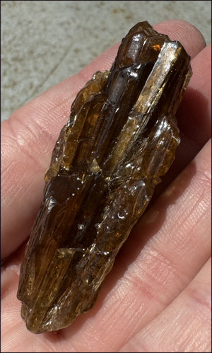 Dark Honey Calcite AKA Amber Calcite Crystal Specimen - Stamina, Intuition