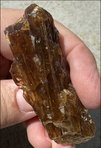 Dark Honey Calcite AKA Amber Calcite Crystal Specimen - Stamina, Intuition