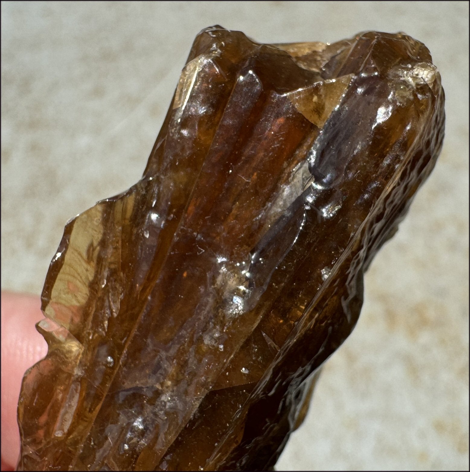 Dark Honey Calcite AKA Amber Calcite Crystal Specimen - Stamina, Intuition