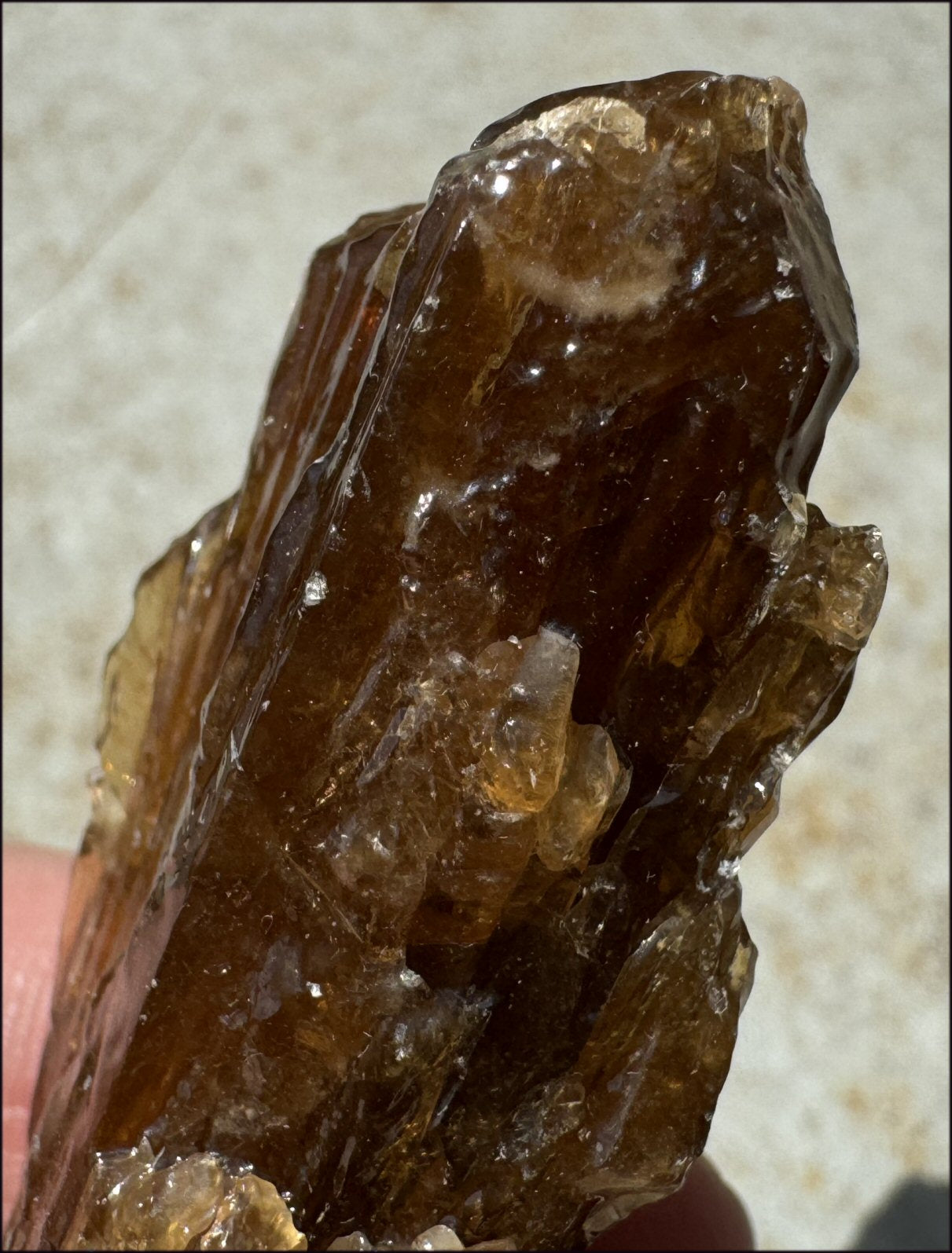 Dark Honey Calcite AKA Amber Calcite Crystal Specimen - Stamina, Intuition