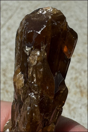 Dark Honey Calcite AKA Amber Calcite Crystal Specimen - Stamina, Intuition