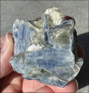 Natural Bi-Colored Blue + Green KYANITE Specimen - Attunement, Align Chakras