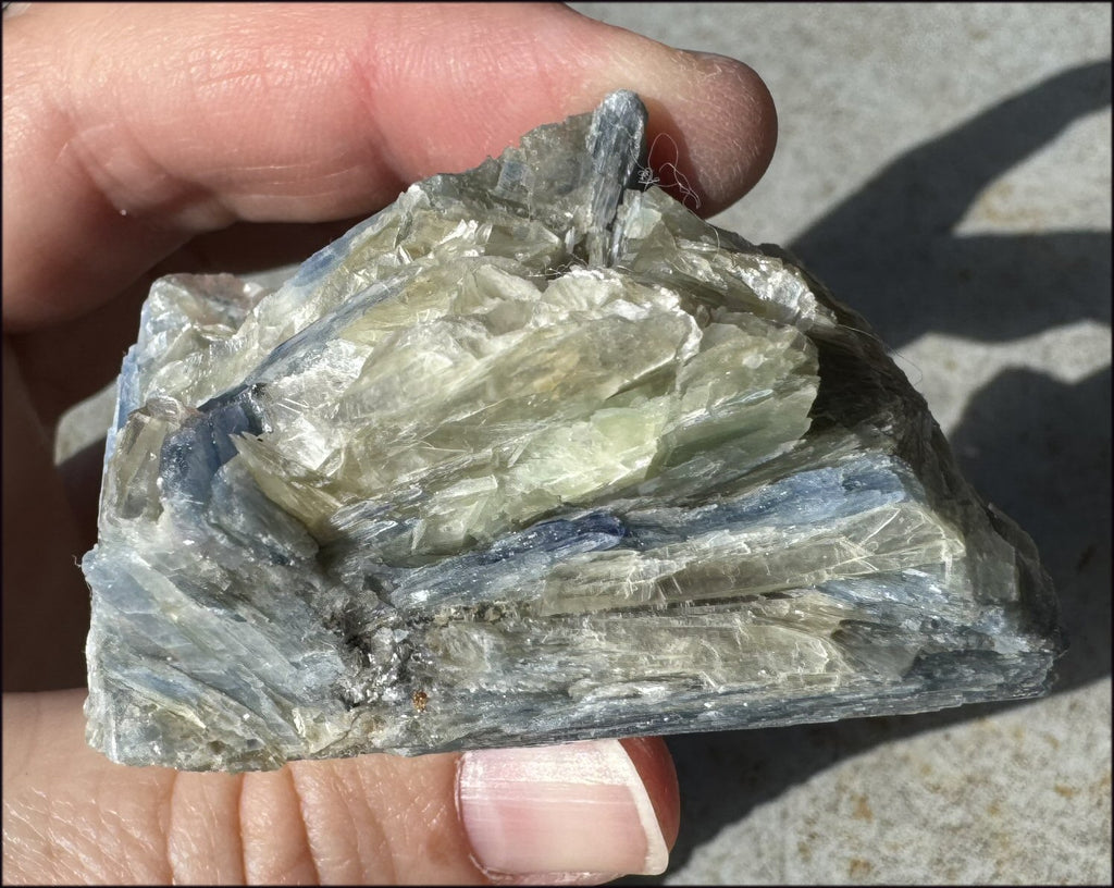 Natural Bi-Colored Blue + Green KYANITE Specimen - Attunement, Align Chakras