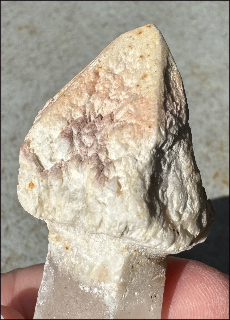 ~RARE!~ Tangerine Lemurian Quartz Crystal Sceptor - Connect with High Self