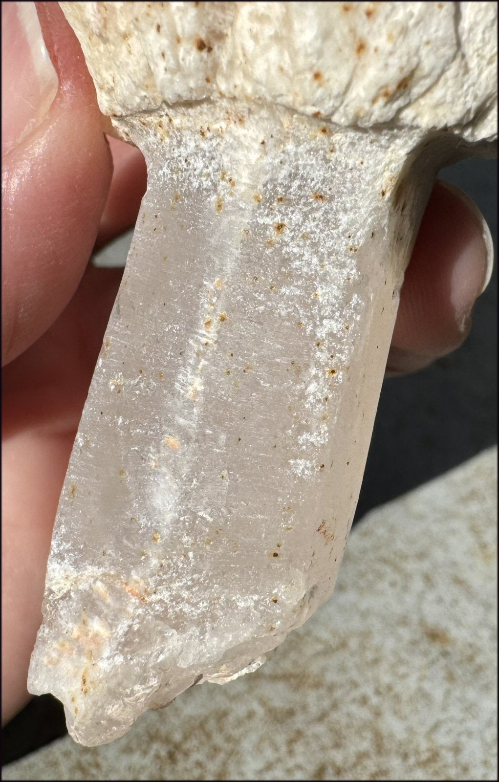 ~RARE!~ Tangerine Lemurian Quartz Crystal Sceptor - Connect with High Self