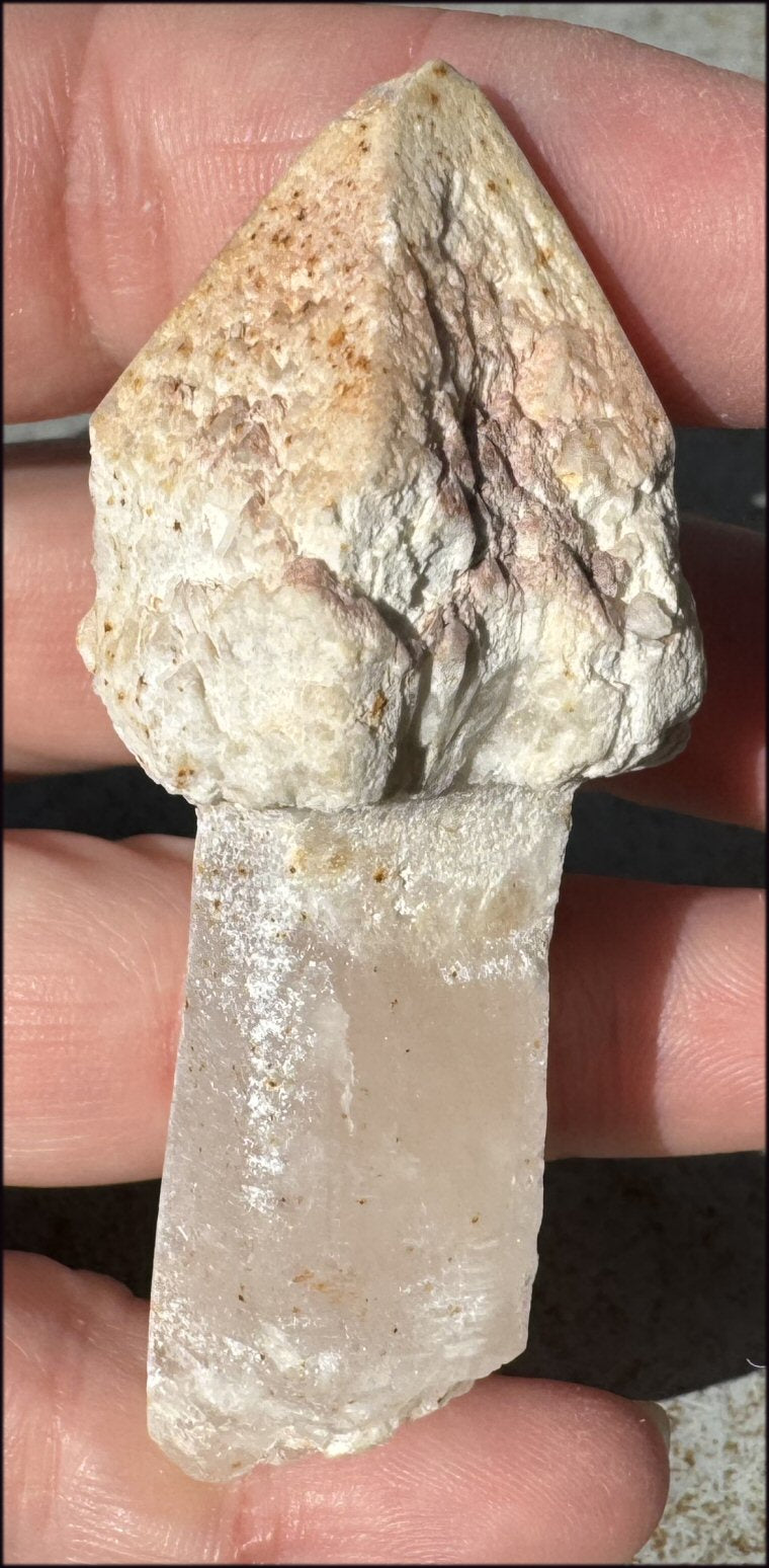 ~RARE!~ Tangerine Lemurian Quartz Crystal Sceptor - Connect with High Self