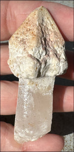 ~RARE!~ Tangerine Lemurian Quartz Crystal Sceptor - Connect with High Self