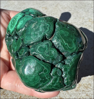 1,690ct XL Malachite Free-form Palm Stone - Heart Chakra - with Synergy 10+ years