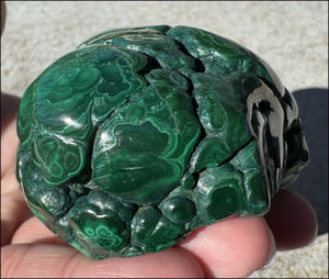 1,690ct XL Malachite Free-form Palm Stone - Heart Chakra - with Synergy 10+ years