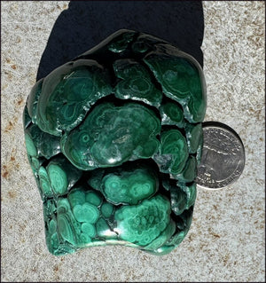 1,690ct XL Malachite Free-form Palm Stone - Heart Chakra - with Synergy 10+ years