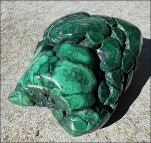 1,690ct XL Malachite Free-form Palm Stone - Heart Chakra - with Synergy 10+ years