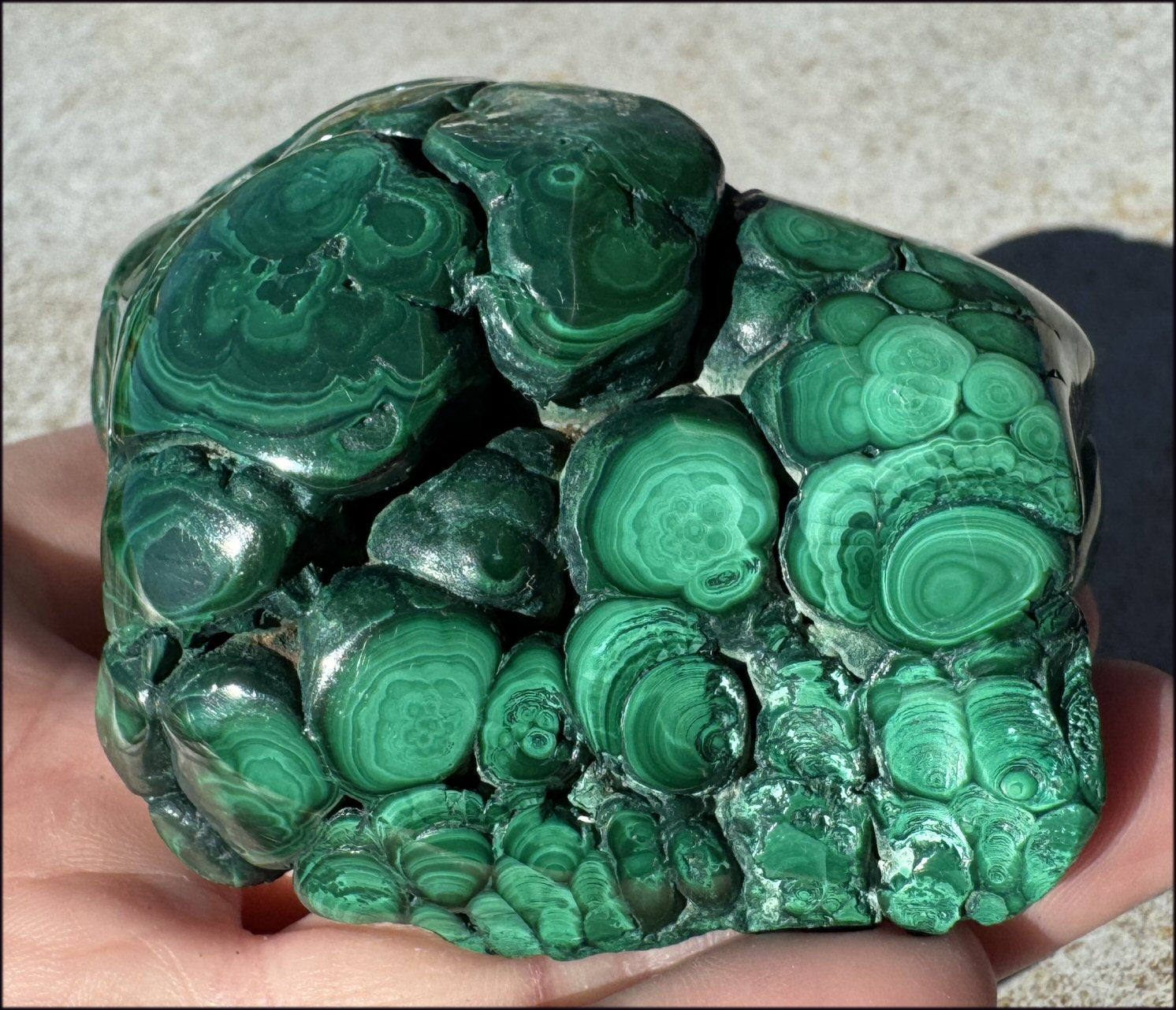 1,690ct XL Malachite Free-form Palm Stone - Heart Chakra - with Synergy 10+ years