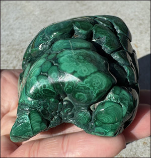 1,690ct XL Malachite Free-form Palm Stone - Heart Chakra - with Synergy 10+ years