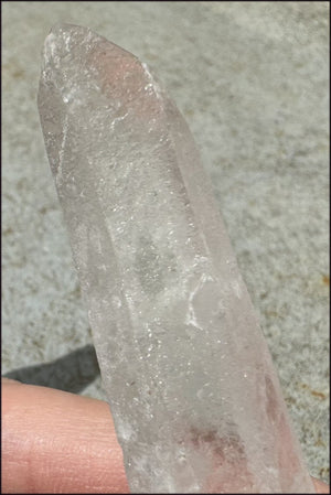 ~Intense~ Self-Healed Mongolian Quartz Crystal Wand - Excellent for healing work