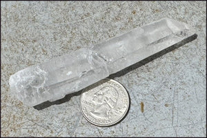 ~Intense~ Self-Healed Mongolian Quartz Crystal Wand - Excellent for healing work