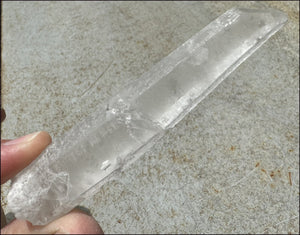 ~Intense~ Self-Healed Mongolian Quartz Crystal Wand - Excellent for healing work