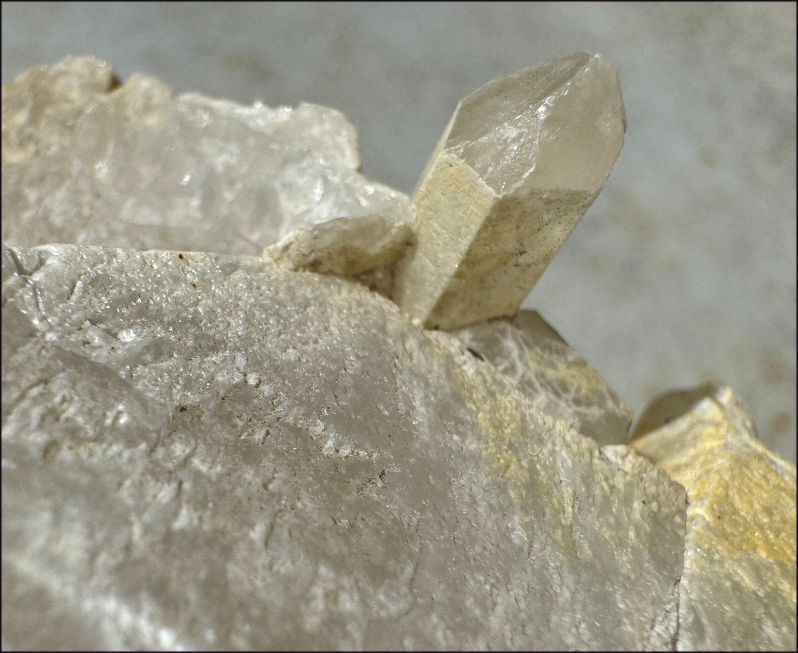 ~Intense~ Self-Healed Mongolian Quartz Crystal with Marcasite "Blossom"