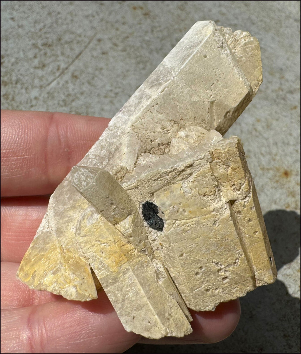 ~Intense~ Self-Healed Mongolian Quartz Crystal with Marcasite "Blossom"