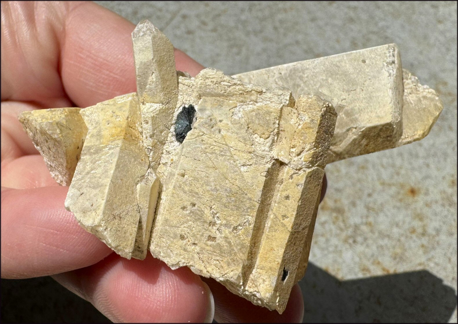 ~Intense~ Self-Healed Mongolian Quartz Crystal with Marcasite "Blossom"