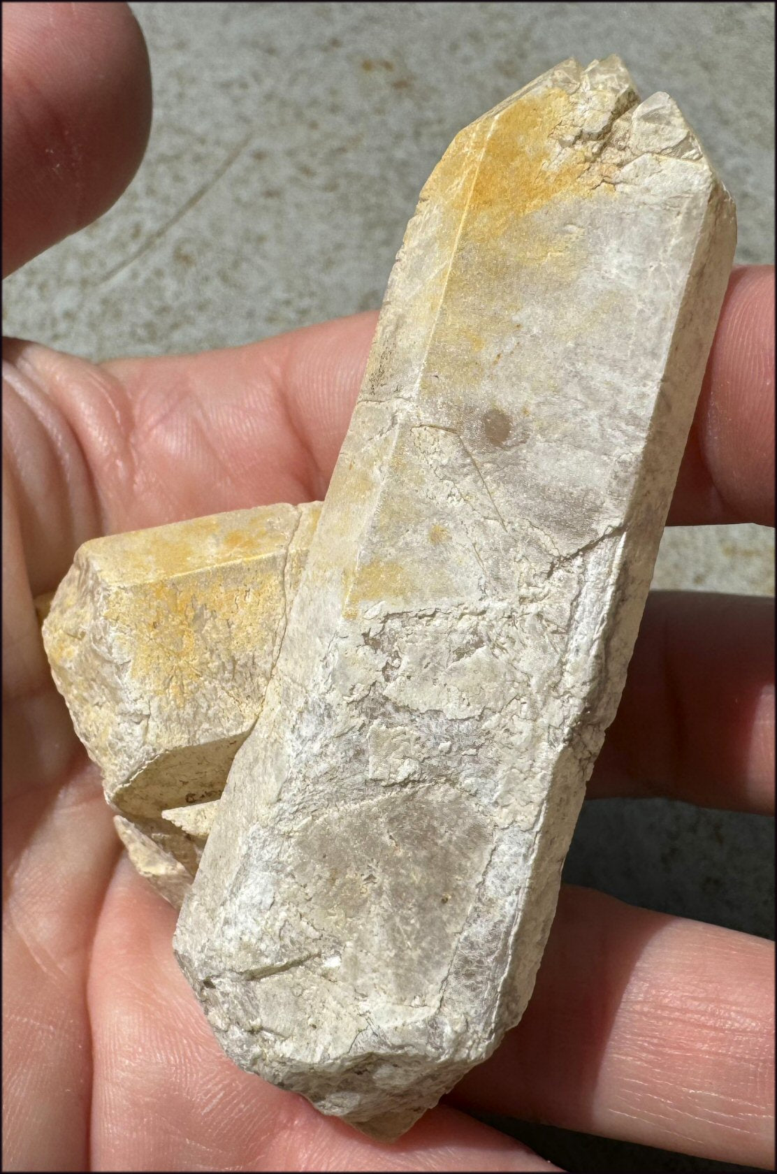 ~Intense~ Self-Healed Mongolian Quartz Crystal with Marcasite "Blossom"