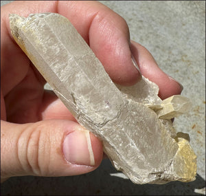 ~Intense~ Self-Healed Mongolian Quartz Crystal with Marcasite "Blossom"