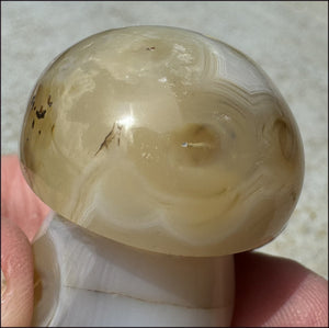 ~Super Cute~ Dendritic Agate FAIRY TOADSTOOL / MUSHROOM