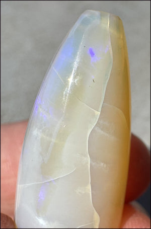 Opal Belemnite Fossil Tip with Purple Fire/Flash - Love, Open to new ideas