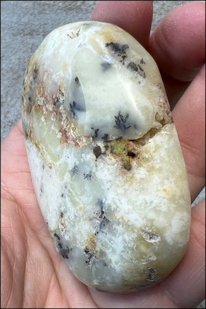 Madagascar Light GREEN OPAL Palm Stone with Lots of Dendritic inclusions