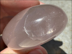 Gorgeous ~Gemmy~ Madagascar ROSE QUARTZ Crystal Palm Stone