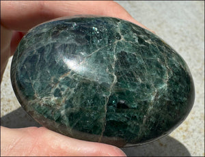 Blue-Green Madagascar APATITE Palm Stone - Release anxiety, Increase intuition