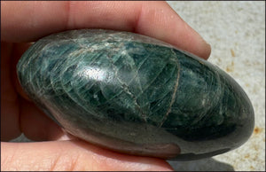 Blue-Green Madagascar APATITE Palm Stone - Release anxiety, Increase intuition