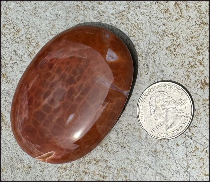 ~Gorgeous~ SNAKESKIN AGATE Crystal Palm Stone - Transformation, Sign of Scorpio