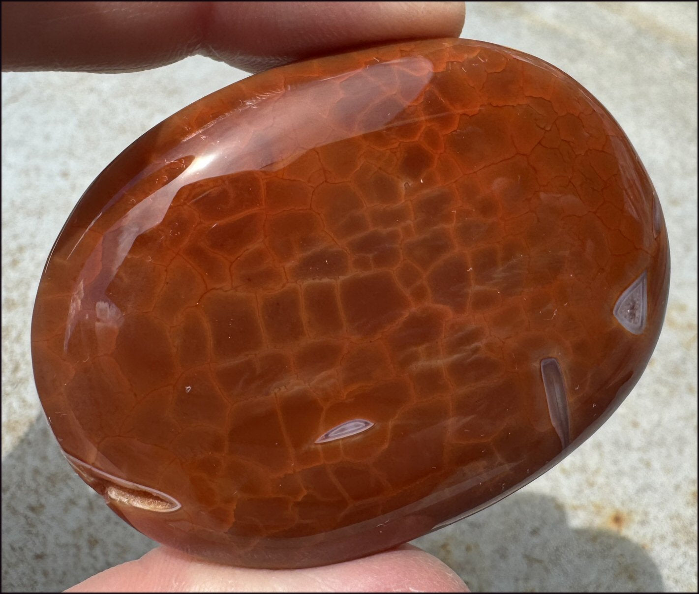 ~Gorgeous~ SNAKESKIN AGATE Crystal Palm Stone - Transformation, Sign of Scorpio