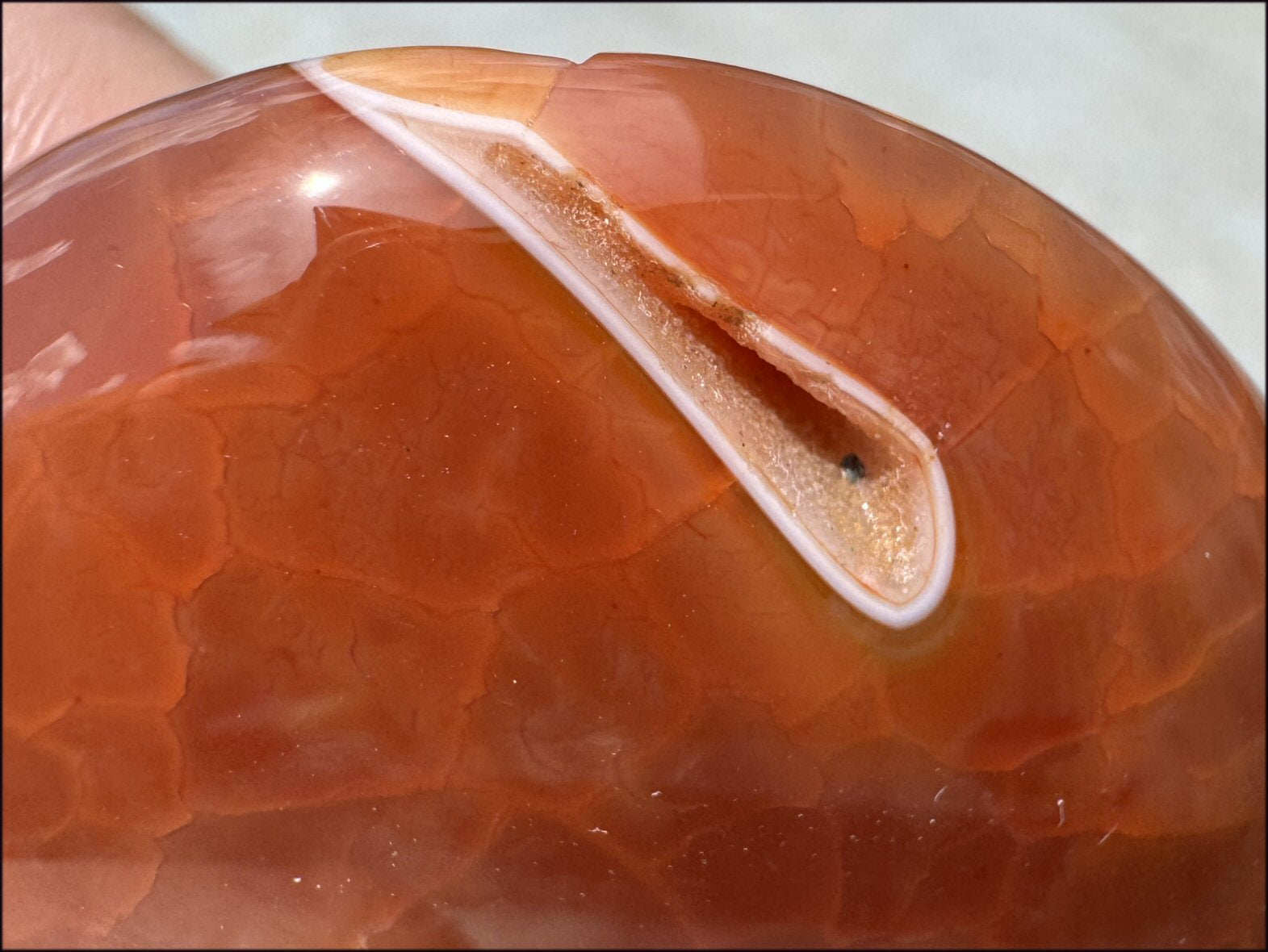 ~Gorgeous~ SNAKESKIN AGATE Crystal Palm Stone - Transformation, Sign of Scorpio