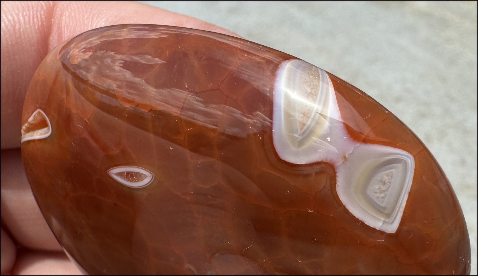 ~Gorgeous~ SNAKESKIN AGATE Crystal Palm Stone - Transformation, Sign of Scorpio