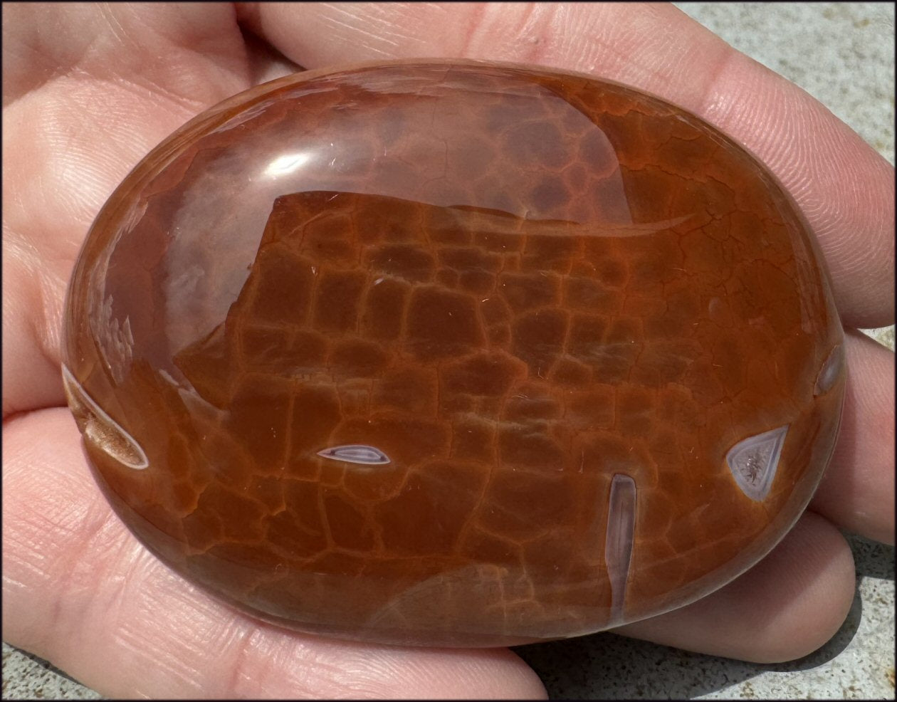 ~Gorgeous~ SNAKESKIN AGATE Crystal Palm Stone - Transformation, Sign of Scorpio