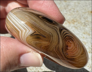 ~Fabulous~ Madagascar SILK AGATE Crystal Pocket / Palm Stone