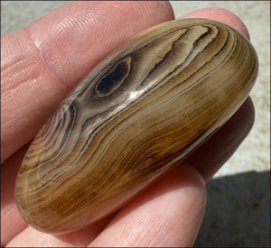 ~Fabulous~ Madagascar SILK AGATE Crystal Pocket / Palm Stone