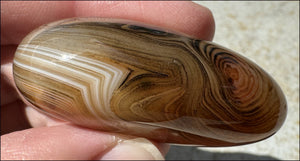 ~Fabulous~ Madagascar SILK AGATE Crystal Pocket / Palm Stone