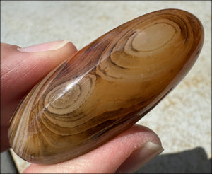 ~Fabulous~ Madagascar SILK AGATE Crystal Pocket / Palm Stone