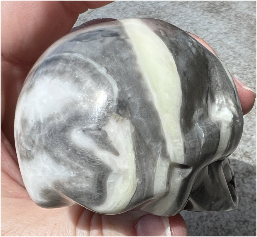 ~Gorgeous!~ Lg. Sea Shell Jasper CRYSTAL SKULL - Positivity, Grounding