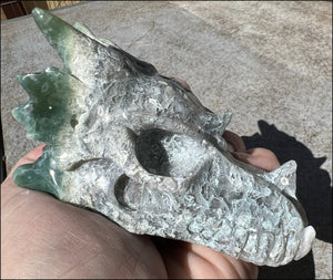 XL Moss Agate DRAGON Crystal Skull - Self-Confidence, Abundance