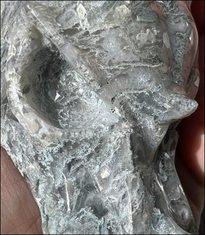 XL Moss Agate DRAGON Crystal Skull - Self-Confidence, Abundance